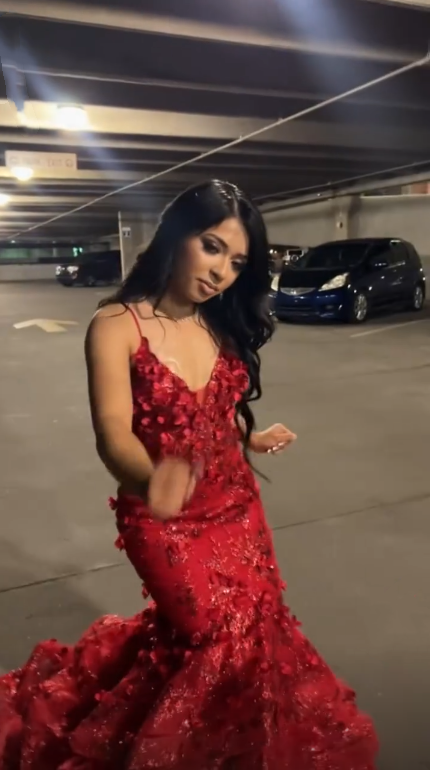 Sexy Spaghetti Straps Tulle Sequin Mermaid Evening Dress Red Long Party Dress D4982