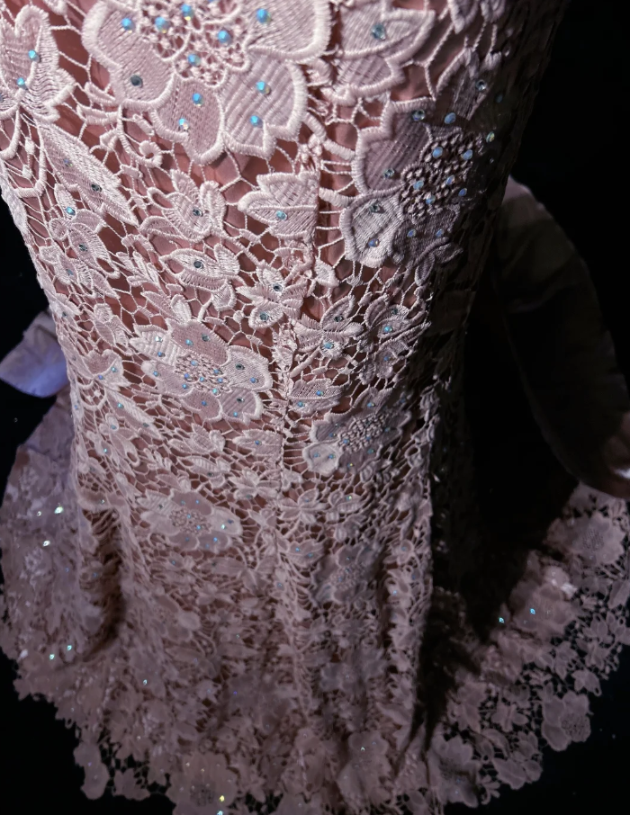 Pretty Pink V Neck Lace Mermaid Birthday Prom Dress Long evening Dress Party Gown D2063