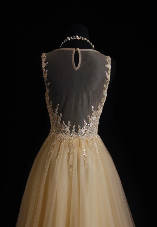 Luxurious Champagne Sleeveless Tulle Beaded Mermaid Long Birthday Party Dress Evening Gown D2213