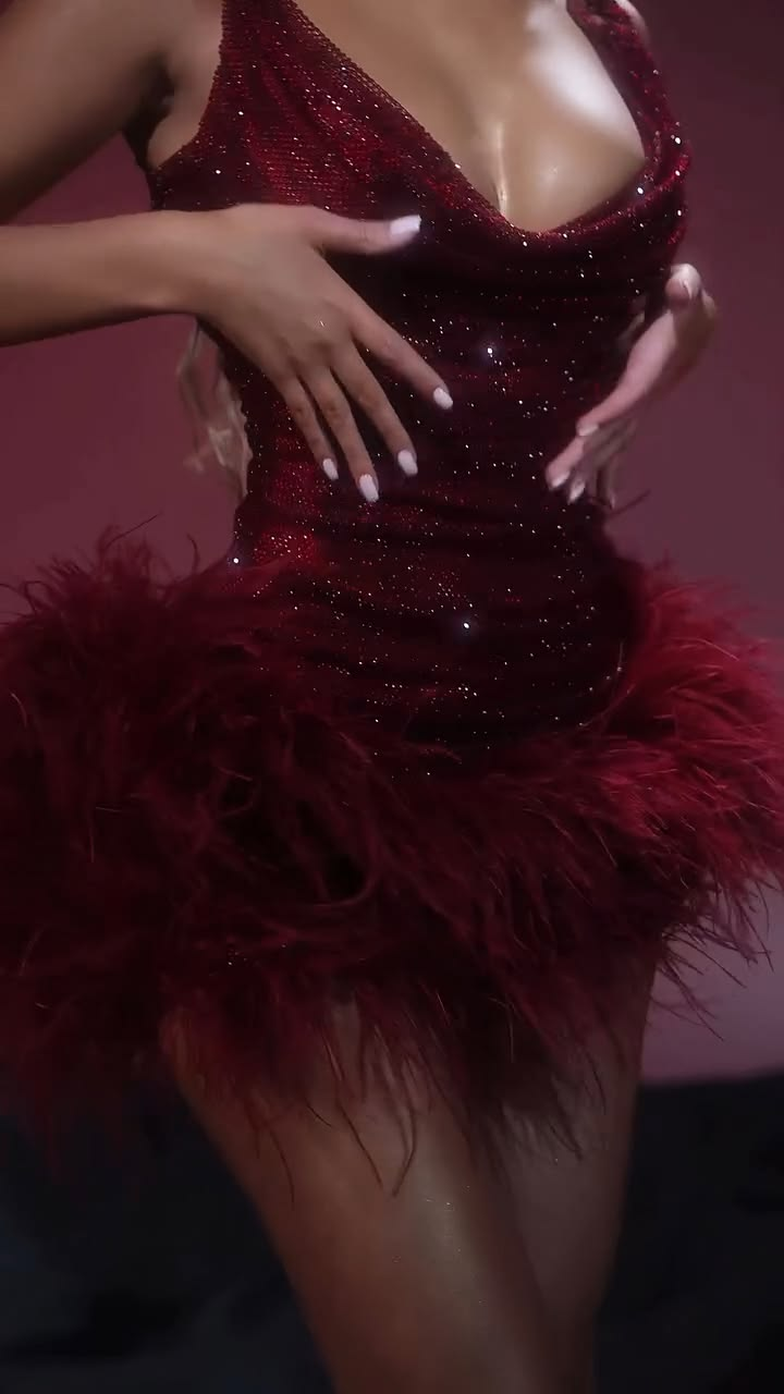 Glitter Burgundy Sequin Feathers Short Graduation Homecoming Dress, Mini Prom Dress D3922