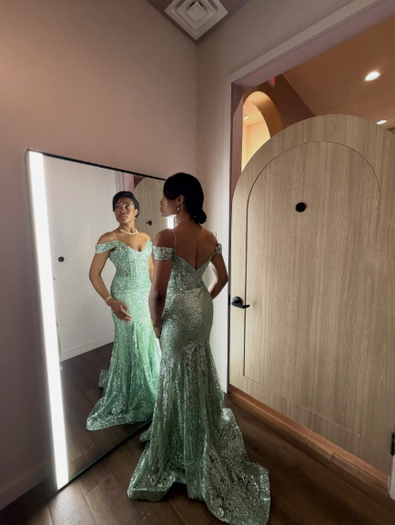 Sexy Off The Shoulder Mint Green Tulle Sequin Mermaid Evening Dress Long Party Gown D1501