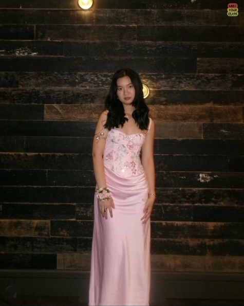 Pretty Pink Spaghetti Straps Satin Sequin Mermaid Long Party Dress Prom Dresses D4105