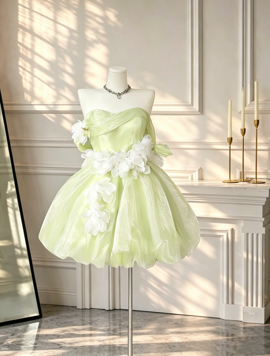 Pretty Light Green Tulle Appliques Short Birthday Dress Off The Shoulder A Line Mini Homecoming Dress D2570