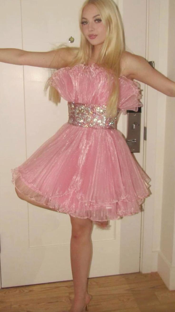 Charming Pink Tulle Beaded A Line Short Prom Dress Homecoming Dress D4588