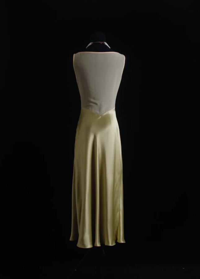 Chic Yellow Sleeveless Satin Long Wedding Guest Dress Party Dress D2000