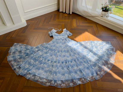 Elegant Sweetheart Neck Blue Tulle A Line Long Party Dress Prom Dress D2947