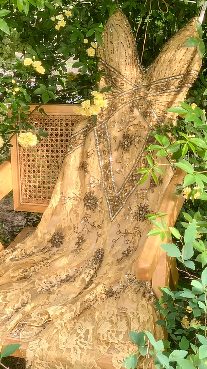 Vintage Spaghetti Straps Lace Sequin Mermaid Evening Dress Long Prom Dress S726