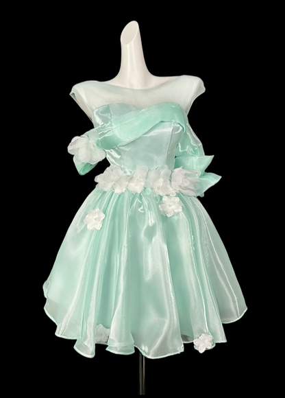 Pretty Mint Green Tulle Appliques A Line Short Graduation Homecoming Dress,Off The Shoulder Short Birthday Outfits D4153