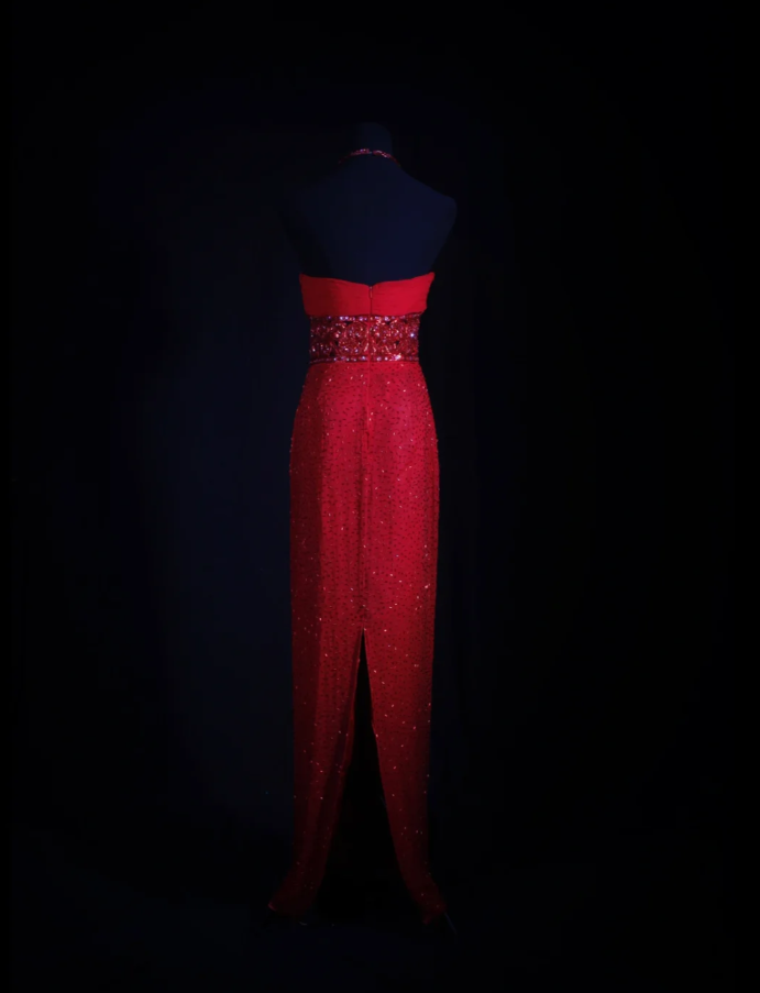 Pretty Red Halter Chiffon Beaded Sheath Long Prom Dress Birthday Evening Dress D2256