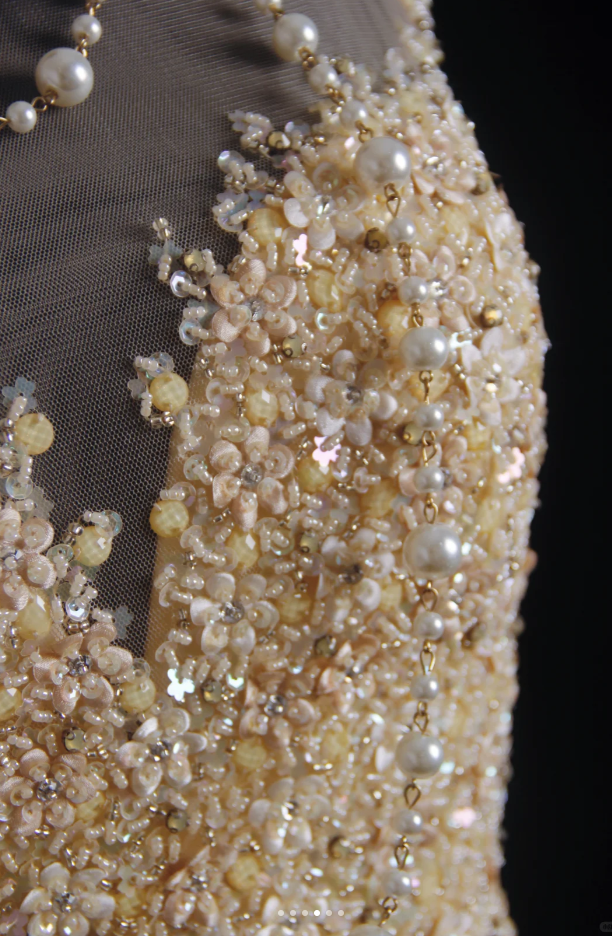 Luxurious Champagne Sleeveless Tulle Beaded Mermaid Long Birthday Party Dress Evening Gown D2213