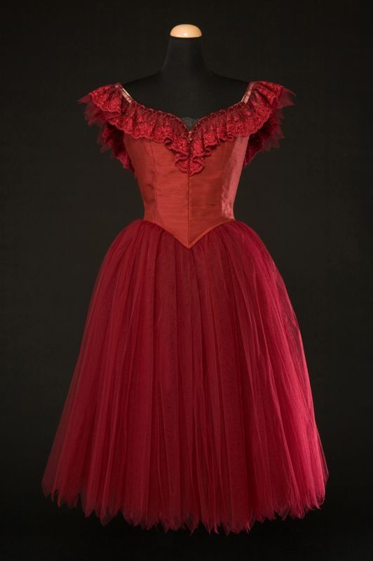Vintage Lace Tulle A Line Short Homecoming Dress,Red Short 16th Birthday Outfits D3347