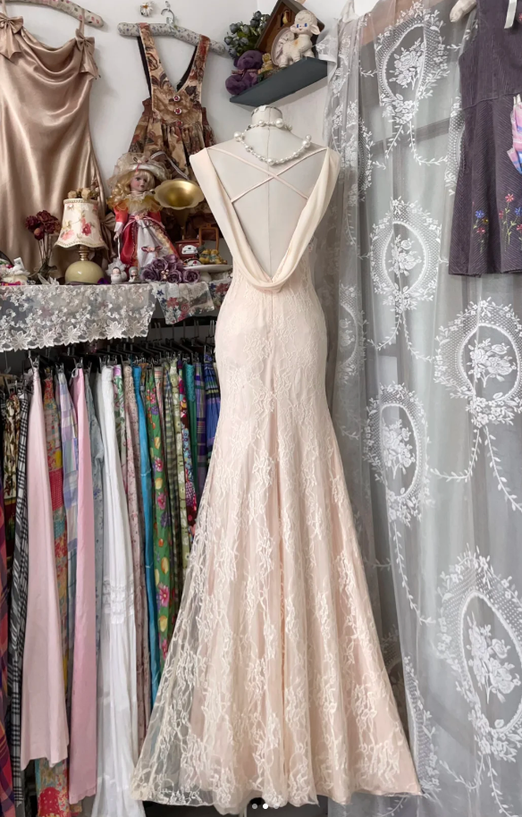 Pretty Light Pink Chiffon Lace Mermaid Evening Dress Backless Long Party Gown D1293